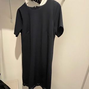 Ann Taylor Business Casual Navy Blue Shift Dress